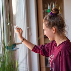 Window wipes, Home care product