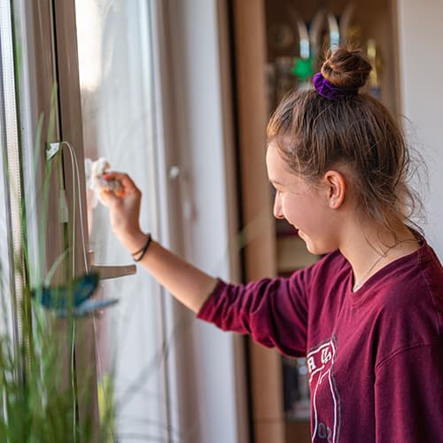 Window wipes, Home care product